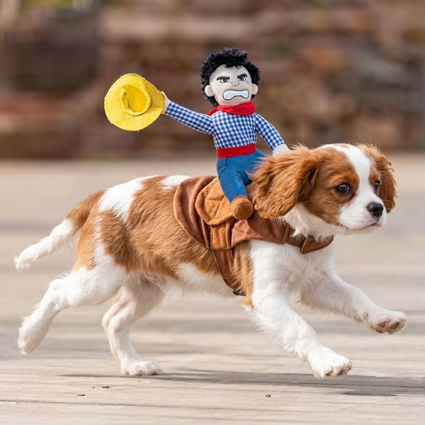 Cowboy