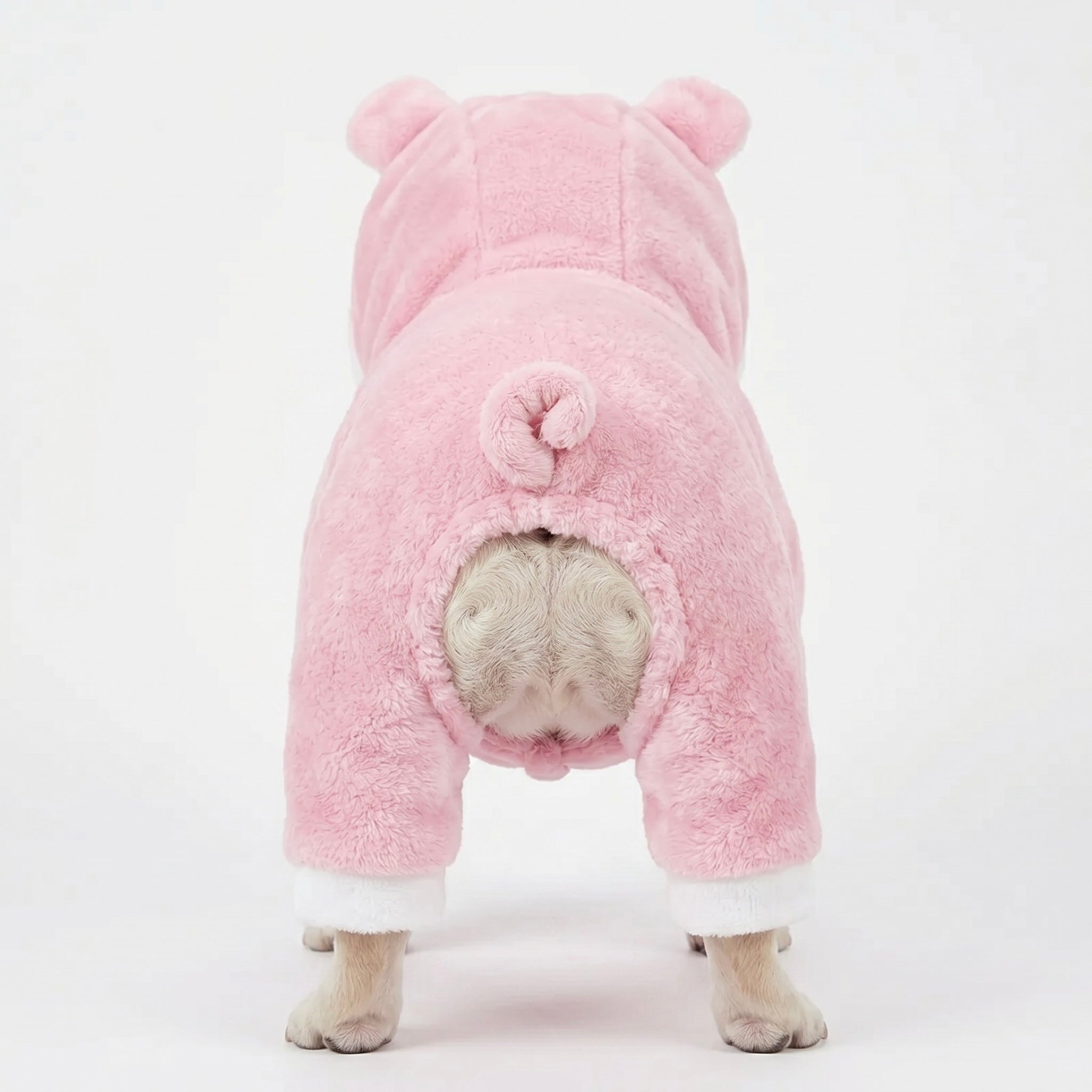 Pig