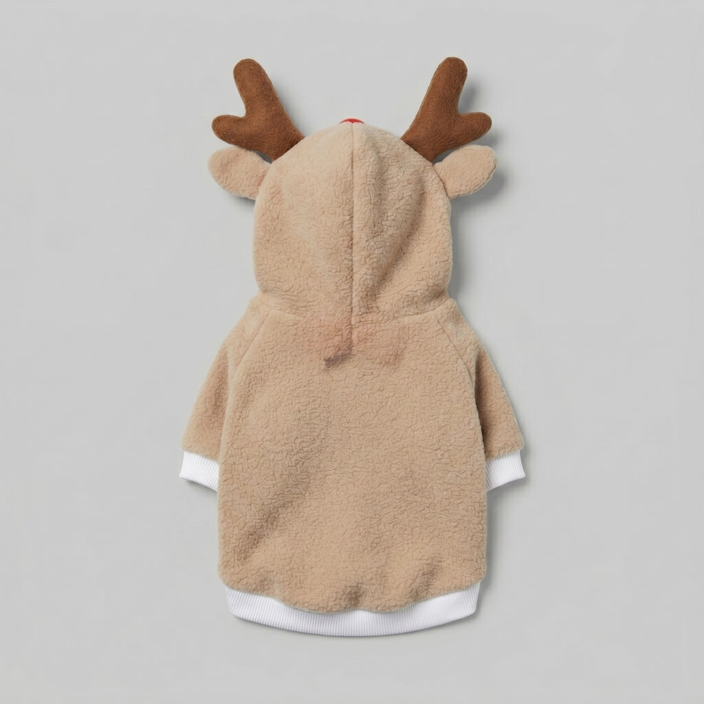 Reindeer