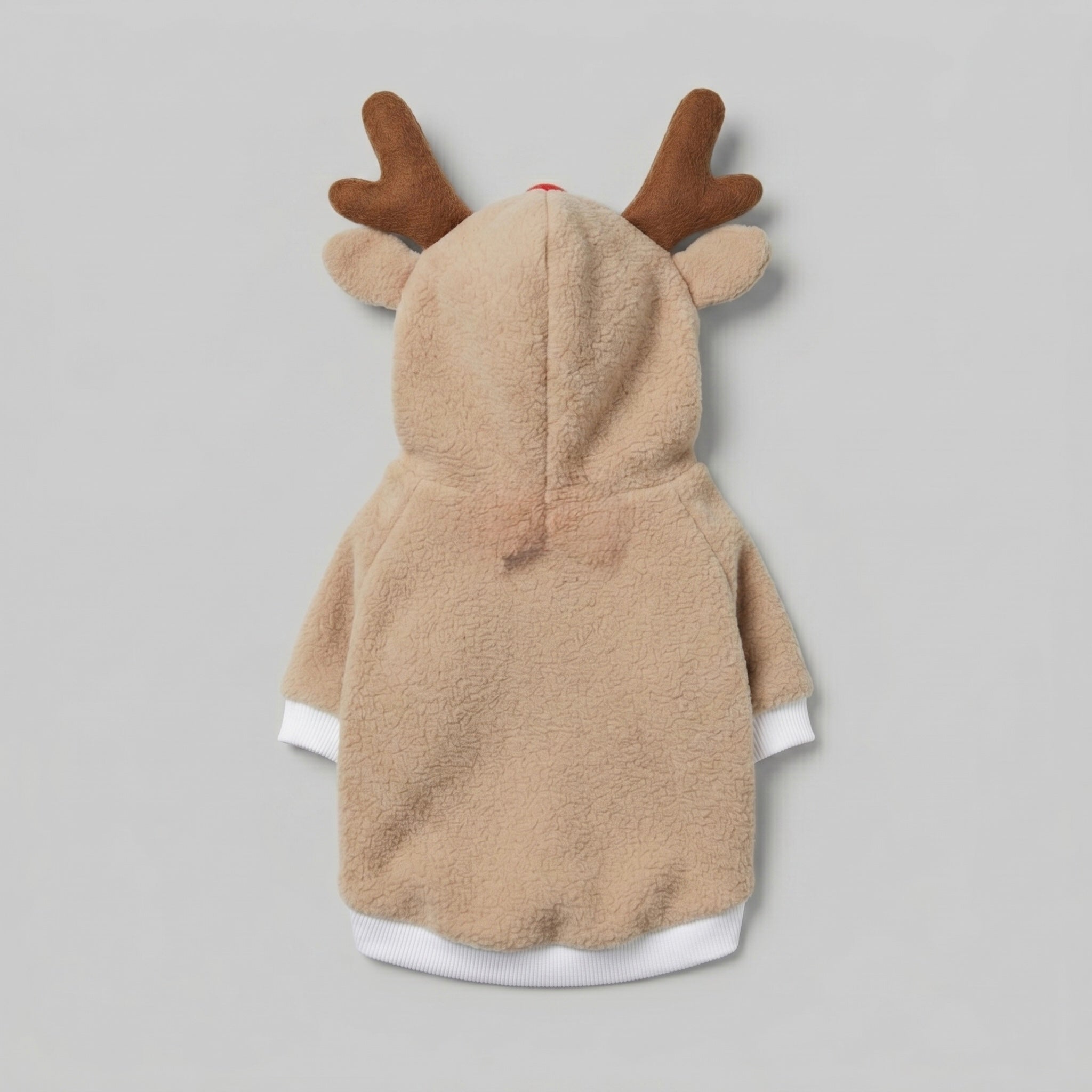 Reindeer