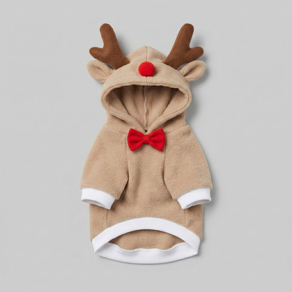 Reindeer